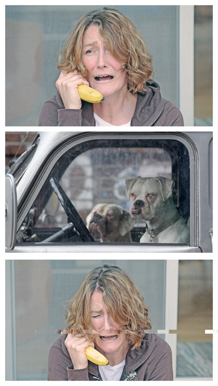 banana dog.jpg