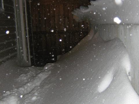moresnowwwwwwww.jpg