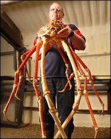 crabzilla.jpg