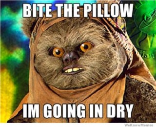 bite-the-pillow-im-going-in-dry.jpg